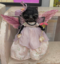 Load image into Gallery viewer, Kassidy the beautiful fairy cat 💜💜💜