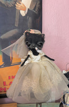 Load image into Gallery viewer, The reluctant Bride🤍🐈‍⬛🤍