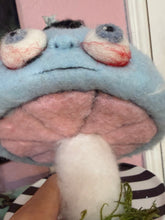 Load image into Gallery viewer, Alice 🐈‍⬛🍄‍🟫🩵🤍🩵🤍🩵🤍