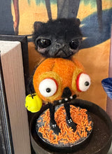 Load image into Gallery viewer, Trick or treat pumpkin 🎃 🐈‍⬛