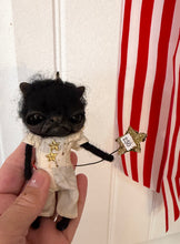 Load image into Gallery viewer, Curtis the kitty ornament 🇺🇸❤️🤍💙