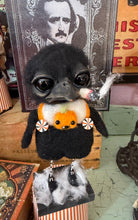 Load image into Gallery viewer, Fred 🐦‍⬛