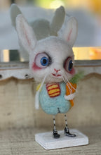 Load image into Gallery viewer, Harry 🐇🐰