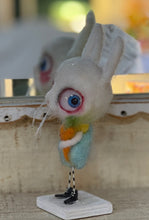 Load image into Gallery viewer, Harry 🐇🐰