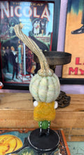 Load image into Gallery viewer, Grover the green pumpkin 🎃
