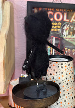Load image into Gallery viewer, Skelly Kitty 🐈‍⬛