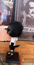 Load image into Gallery viewer, Poe 🐦‍⬛ crow