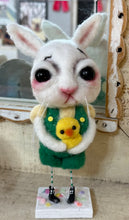 Load image into Gallery viewer, Rufus  the sweet rabbit 🐰