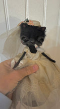 Load image into Gallery viewer, The reluctant Bride🤍🐈‍⬛🤍