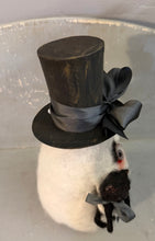 Load image into Gallery viewer, Boo and his 🐈‍⬛